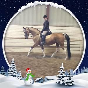 Meet your Posher, Shelly